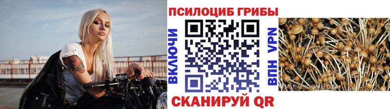 Купить  Называевск  Галлюциногенные грибы Magic Shrooms 
